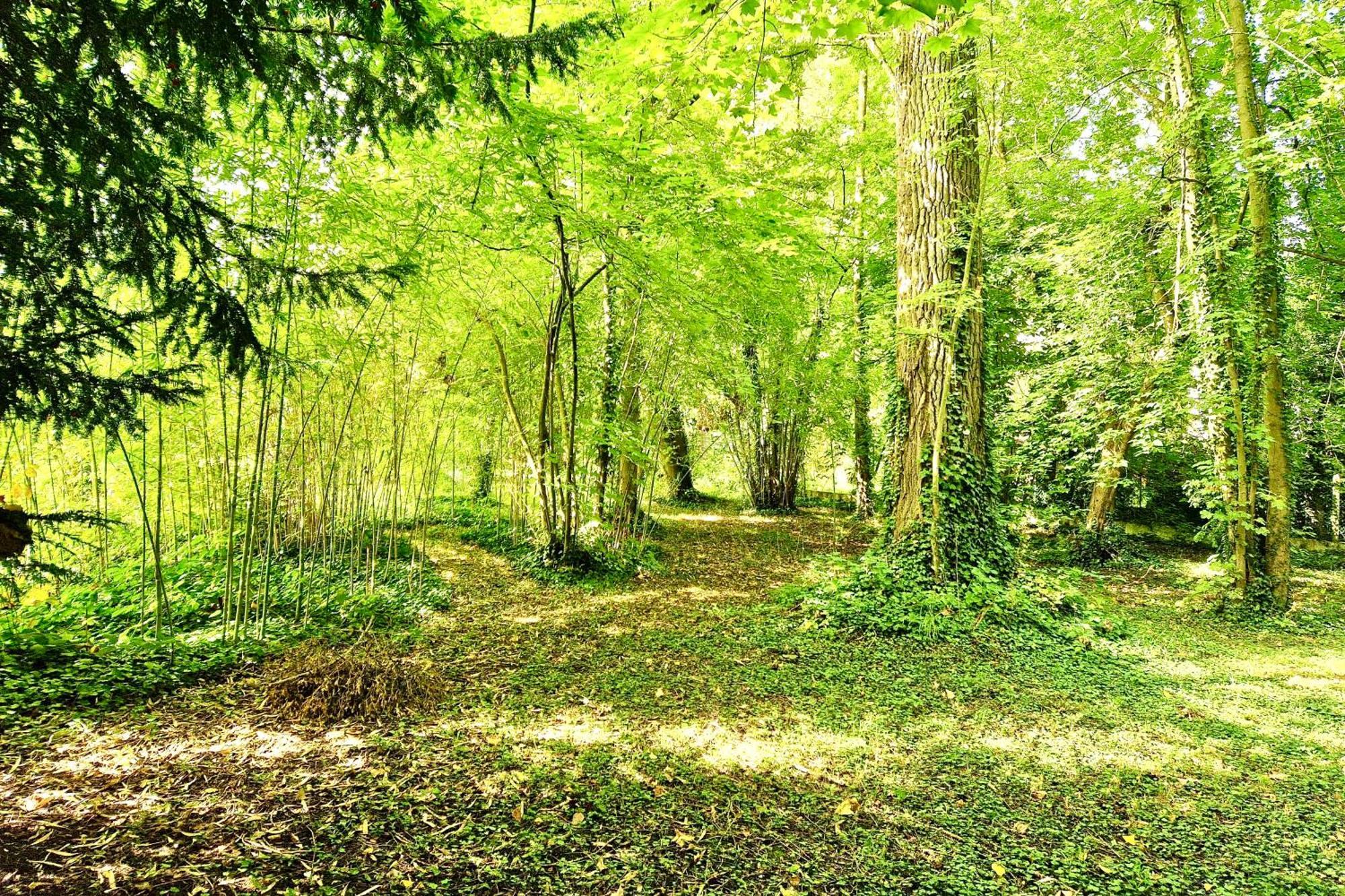 Villa Edouard - 180M2 In Nature & Forest - 20Min Disney - 7Min Airport Claye-Souilly Exterior foto
